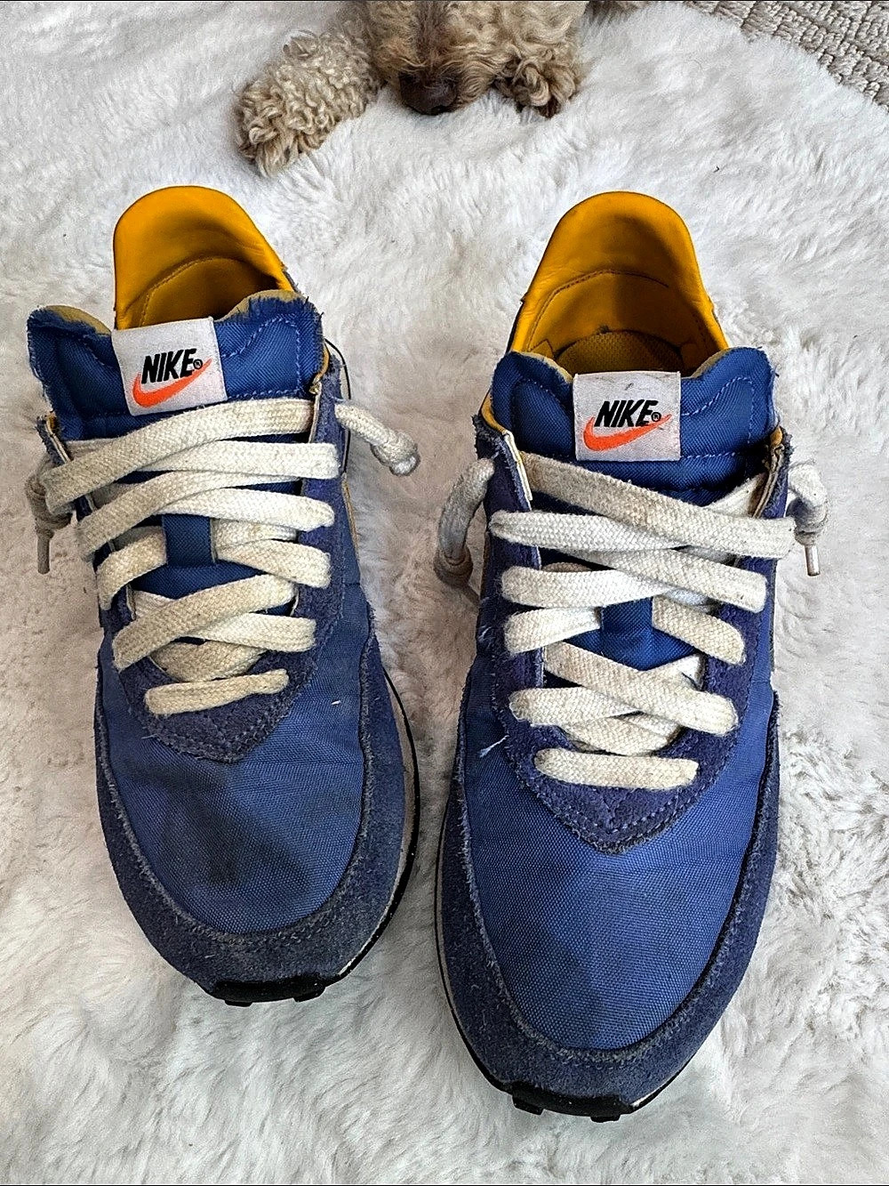 Nike Daybreak Blue & Yellow Sneakers US 6